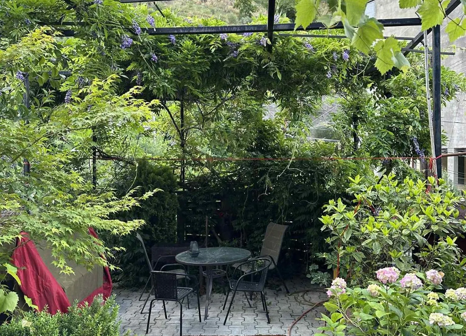 Magical Forest House In The Center Of Old City ティビリシ アパート