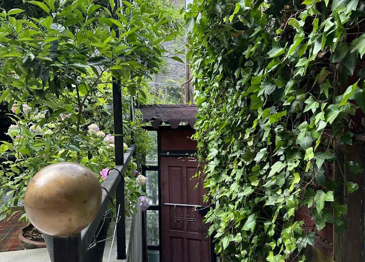 アパート Magical Forest House In The Center Of Old City ティビリシ