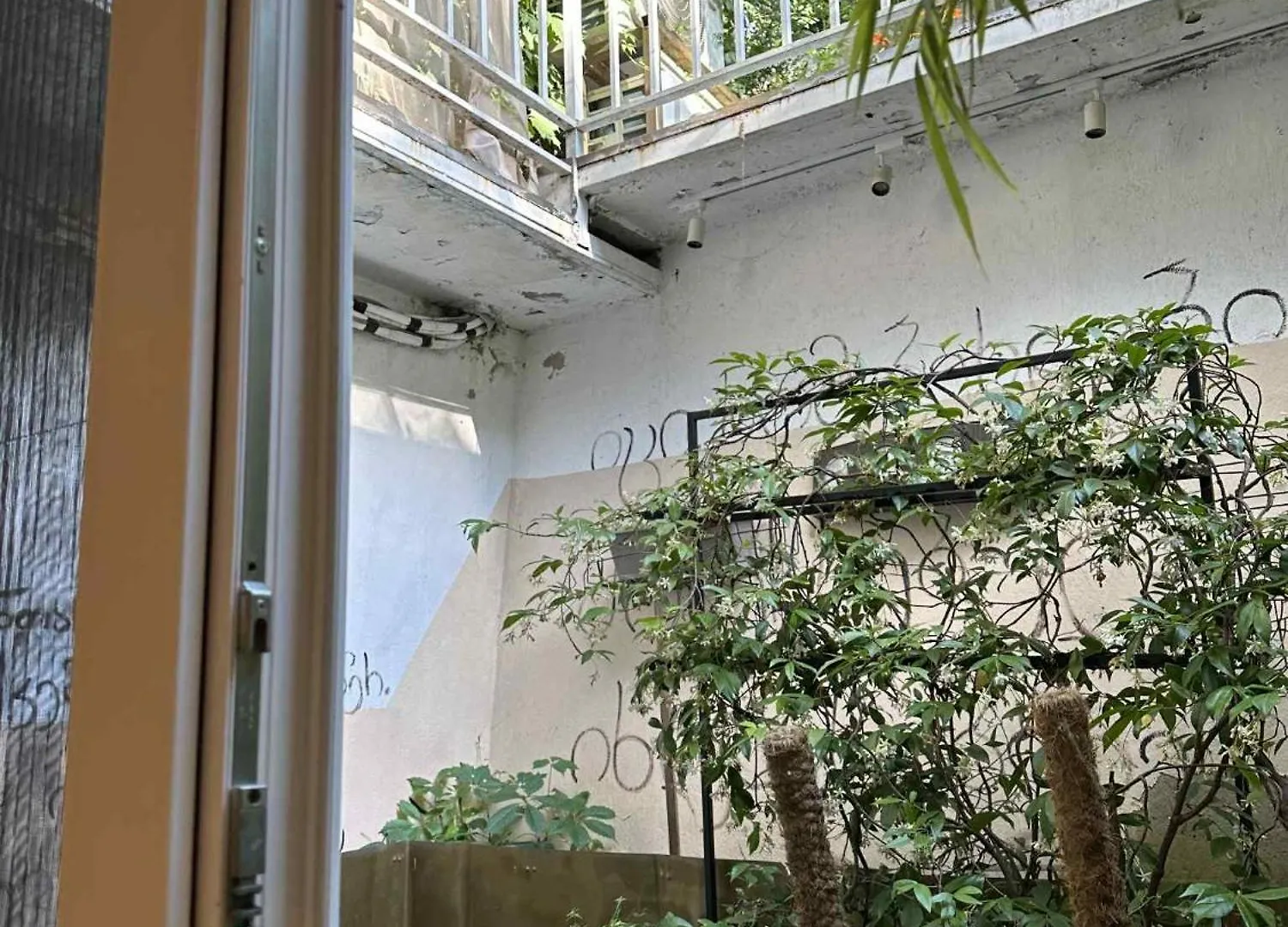 Magical Forest House In The Center Of Old City ティビリシ アパート