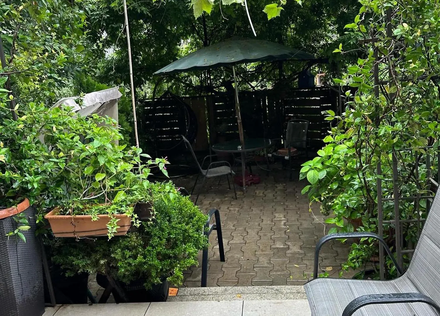 아파트 Magical Forest House In The Center Of Old City 트빌리시